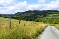 Lake Vyrnwy - 005