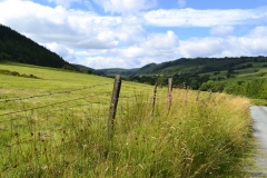 Lake Vyrnwy - 007