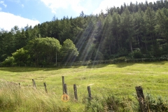 Lake Vyrnwy - 009