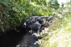 Lake Vyrnwy - 352