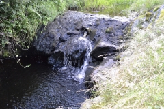 Lake Vyrnwy - 356