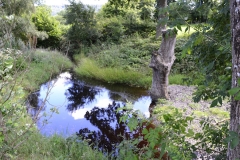 Lake Vyrnwy - 366