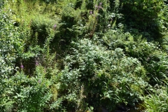 Lake Vyrnwy - 372