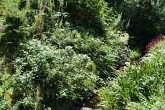 Lake Vyrnwy - 374