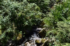 Lake Vyrnwy - 376