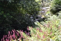 Lake Vyrnwy - 380