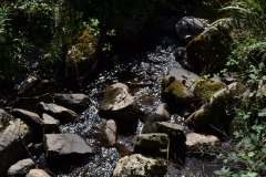 Lake Vyrnwy - 382