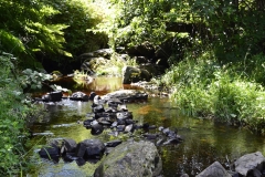 Lake Vyrnwy - 384