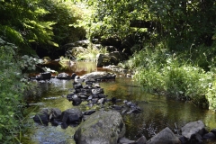 Lake Vyrnwy - 386