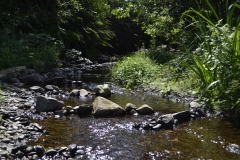 Lake Vyrnwy - 388