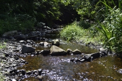 Lake Vyrnwy - 390