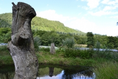 Lake Vyrnwy - 396