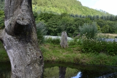 Lake Vyrnwy - 398