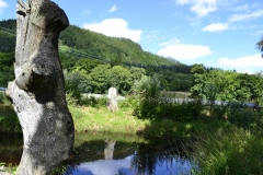 Lake Vyrnwy - 402