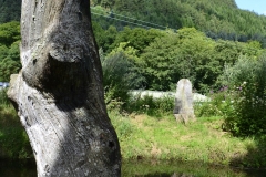 Lake Vyrnwy - 404