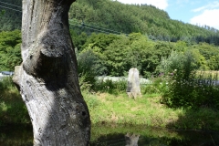 Lake Vyrnwy - 406