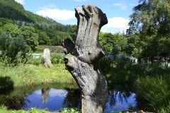 Lake Vyrnwy - 410