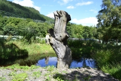 Lake Vyrnwy - 412