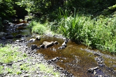 Lake Vyrnwy - 414