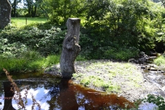 Lake Vyrnwy - 420