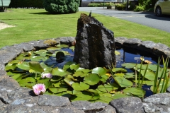 Lake Vyrnwy - 456