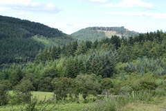 Lake Vyrnwy - 470